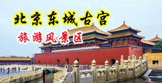 扣逼破处喷水视频中国北京-东城古宫旅游风景区